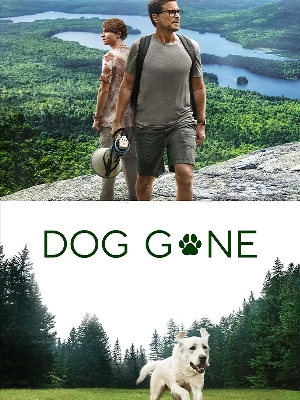 سگ گمشده